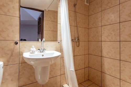 a bathroom with a sink and a shower at Włostowicka Ostoja in Puławy