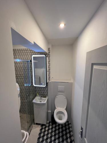 uma pequena casa de banho com WC e chuveiro em Studio meaux hyper centre em Meaux