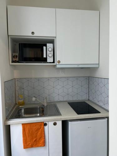 uma cozinha com um lavatório e um micro-ondas em Studio meaux hyper centre em Meaux