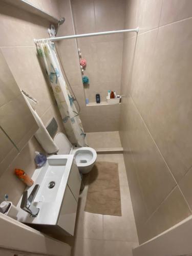 a small bathroom with a toilet and a sink at Aristotelis Apartment in Nikiti