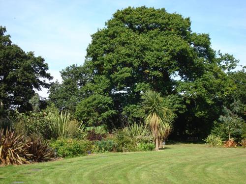 a tree in the middle of a grass field at Manoir De Savigny in Valognes