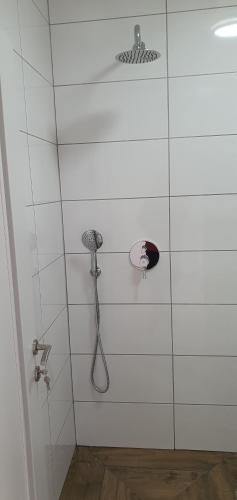 La salle de bains est pourvue d'une douche avec un pommeau de douche. dans l'établissement במרכז הכפר, à Majdal Shams