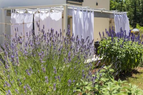a garden with purple flowers in front of a house at Luxury Villa Četiri Hrasta in Pićan