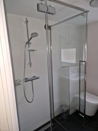 een badkamer met een douche en een toilet bij Het Zwaluwnest 69 in Giessenburg