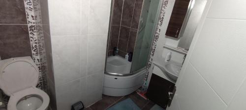 Baño pequeño con aseo y lavamanos en Private Room in Istanbul #83, en Estambul