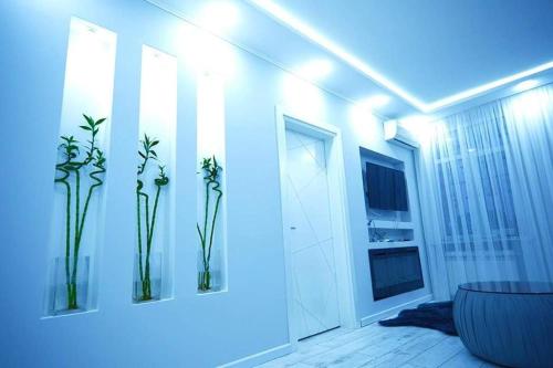 a room with three vases with plants on the wall at beautiful and comfortable apartment in the city center in an architectural building in Baku