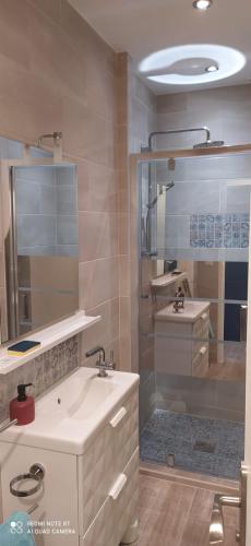 une salle de bain avec deux lavabos et une douche dans l'établissement 14 bis Les Gîtes Bigoudens, à Plonéour-Lanvern