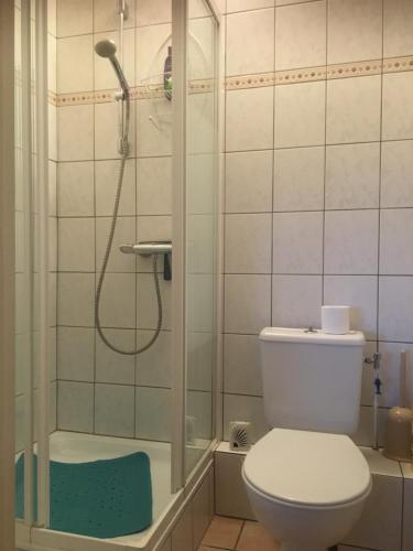 La salle de bains est pourvue d'une douche et de toilettes. dans l'établissement Hoeve Het Verre Einder, à Heythuysen