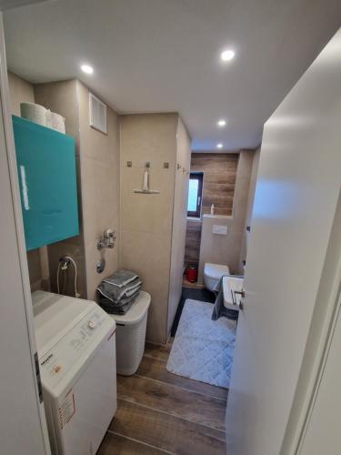 La petite salle de bains est pourvue de toilettes et d'un lavabo. dans l'établissement Ferienwohnung ELSA, à Immenstadt