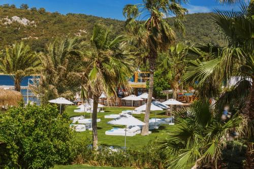 a resort with palm trees and white umbrellas at Flamm in Golturkbuku