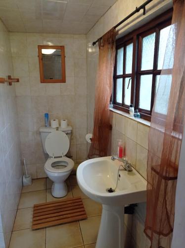 a bathroom with a toilet and a sink at Hollybrooke Adventure Farm in Skeerpoort