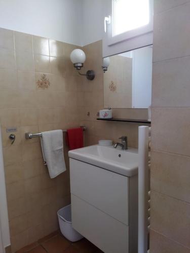 une salle de bain avec un lavabo blanc et un miroir dans l'établissement Maison de campagne au cœur d'un élevage de poneys connemara, à Le Landreau