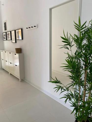Φωτογραφία από το άλμπουμ του The Palm Apartment Karpathos στην Κάρπαθο