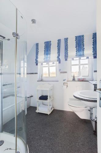 a bathroom with a shower and a toilet and a sink at Landhaus Kranichblick in Wieck