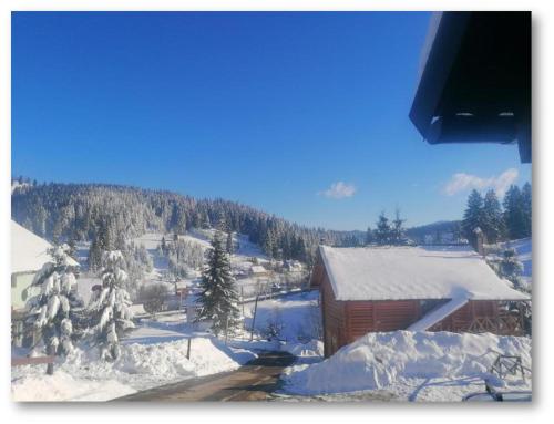 een met sneeuw bedekte berg met een gebouw en bomen bij "Лісова Ягода" in Yablunytsia