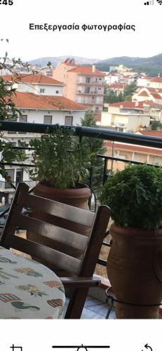 トリポリスにあるΠηνελόπη Apartment 3-bed flatのバルコニー(テーブル、鉢植えの植物2本付)
