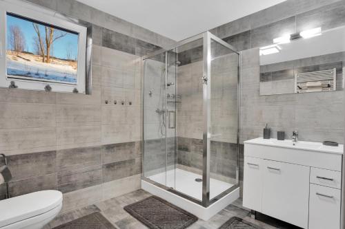 a bathroom with a shower and a toilet and a sink at Apartmány Čtyřlístek in Loučná pod Klínovcem