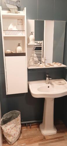 une salle de bain avec un lavabo et un miroir dans l'établissement Résidence Estey T2 centre avec aperçu Bassin, à Andernos-les-Bains