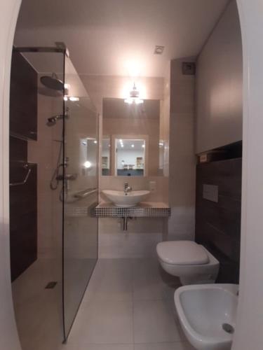 a bathroom with a toilet and a sink and a shower at Apartament Nad Zatoką Puck in Puck