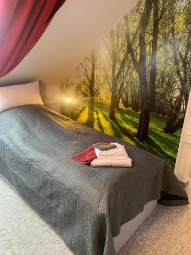 Schlafzimmer mit einem Bett mit Wandgemälde in der Unterkunft Best-Preis -VIP Lounge- mit Netflix, Self-Check-In, eBike Ladestation, Fahrradraum, WLAN und Netflix - direkt am Elberadweg im Herzen von Wittenberge in Wittenberge