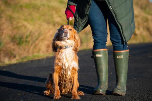a person in green boots standing next to a dog at Bonnie Barns - Adults Only Luxury Lodges with hot tubs in Luss