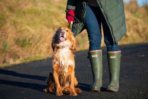 a woman walking a dog on a road at Bonnie Barns - Adults Only Luxury Lodges with hot tubs in Luss
