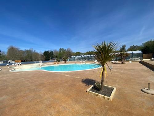 une grande piscine avec un palmier dans une cour dans l'établissement Vue sur le lac, cadre verdoyant, camping 4 étoiles, à Aureilhan