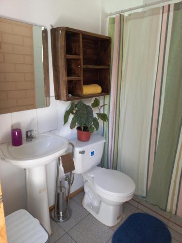 a bathroom with a toilet and a sink and a shower at El pimiento Horcon valle elqui, 4 personas in La Serena