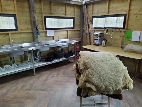 a room with a kitchen with a sink and a table at Uniek overnachten in de prehistorie in Lelystad