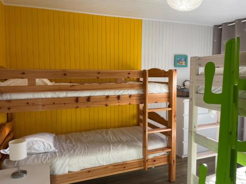 Cette chambre avec lits superposés comprend 2 lits superposés et un cactus. dans l'établissement Gite Ouest de la pointe d'Agon, à Agon-Coutainville