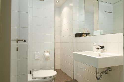 biała łazienka z toaletą i umywalką w obiekcie BALTHASAR RESS Guesthouse am Rebhang im Rheingau w mieście Oestrich-Winkel