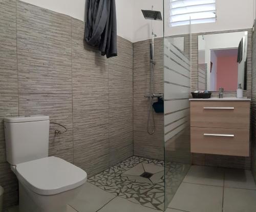 uma casa de banho com um chuveiro, um WC e um lavatório. em Paisible maison à Vieux-Habitants em Vieux-Habitants