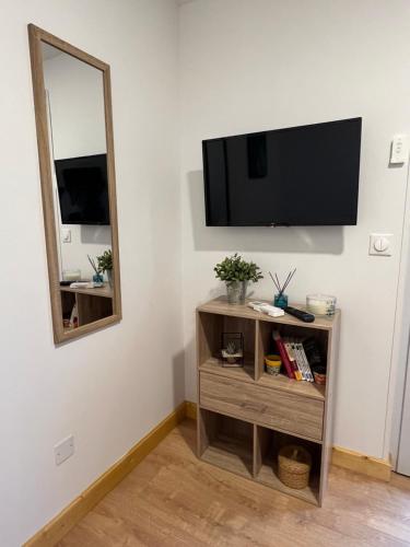 TV a/nebo společenská místnost v ubytování Les gîtes de la bergerie