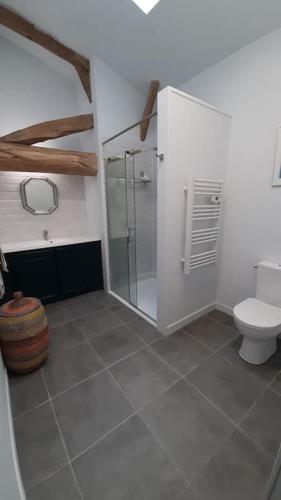 une salle de bain avec douche et toilettes dans l'établissement Beautiful, luxurious and ideally situated cottage, à Criteuil-la-Magdeleine