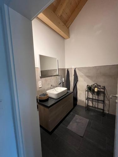 a bathroom with a sink and a mirror at Ferienwohnung am Wald-und Wiesenkorb in Kell