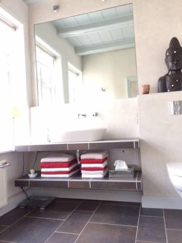 a bathroom with a sink and a mirror at Prinzessin von Friedrichstadt in Friedrichstadt