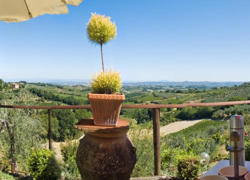 a potted plant sitting on top of a table at B&B I Coppi in San Gimignano