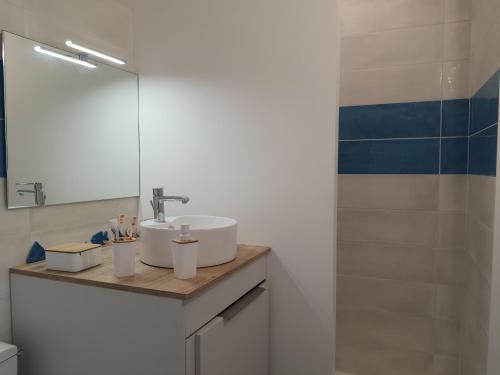 een badkamer met een wastafel en een douche bij Vue Belle île in Quiberon