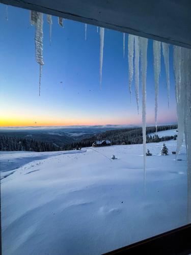 a view of a snow covered field with icicles hanging from a window at Horská bouda KUPROVKA in Strážné