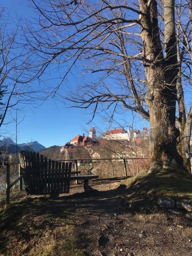 a park bench next to a tree with a building in the background at annes*glück in Füssen
