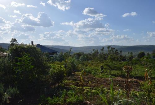 a view of a field with mountains in the background at Rutete Eco Lodge in Rwinkwavu