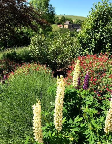 a garden with many different colored flowers and plants at Maison avec vue exceptionnelle et piscine privative in Saint-Félix-de-Lunel