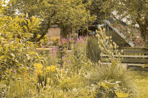 a garden with flowers and a wooden bench at Chalet Ben in Broek in Benningbroek