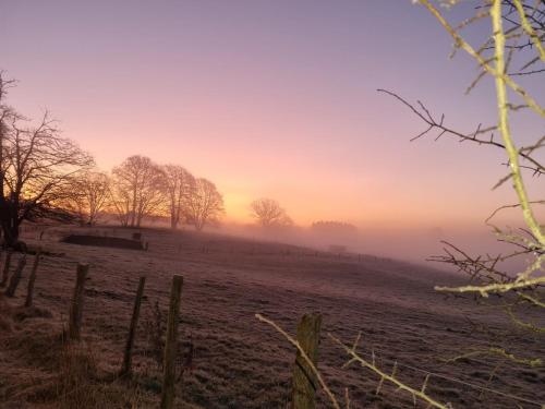 a misty field at sunrise with trees and a fence at Le Maissin 1876 in Paliseul