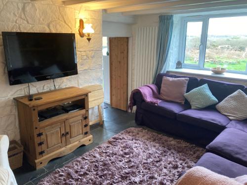 a living room with a couch and a flat screen tv at Higher Trenear Farm B&B in Helston