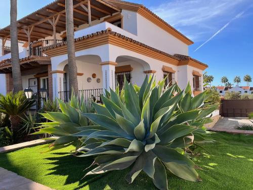 a house with a large plant in front of it at Casa Limon, boutique Bed and Breakfast, Andalucia in Alhaurín el Grande