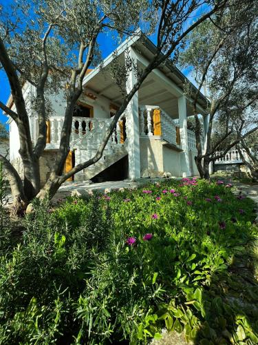 Apartment Eva - Molat