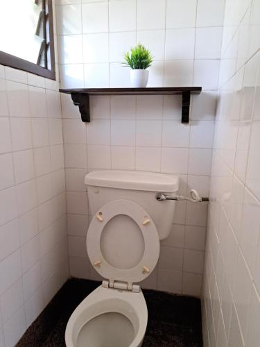 a bathroom with a toilet with a plant on a shelf at Halisi Stays 1Bed near SGR/Airport Mombasa in Mombasa