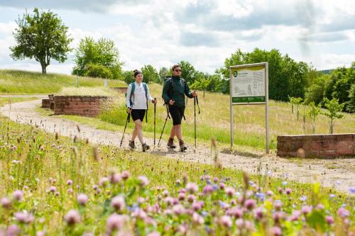 a man and woman walking down a dirt road at Hotel Landgasthof Oberschnorrhof in Dammbach