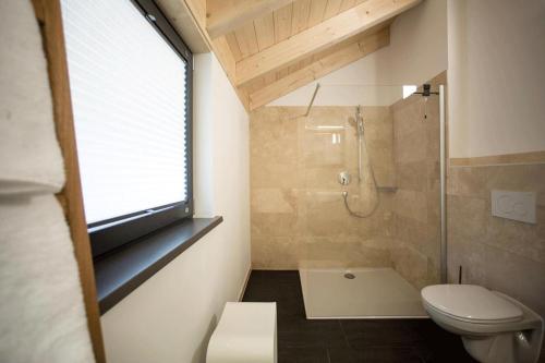 baño con ducha y aseo y ventana en Châlets de la Liberté, en Oberstaufen
